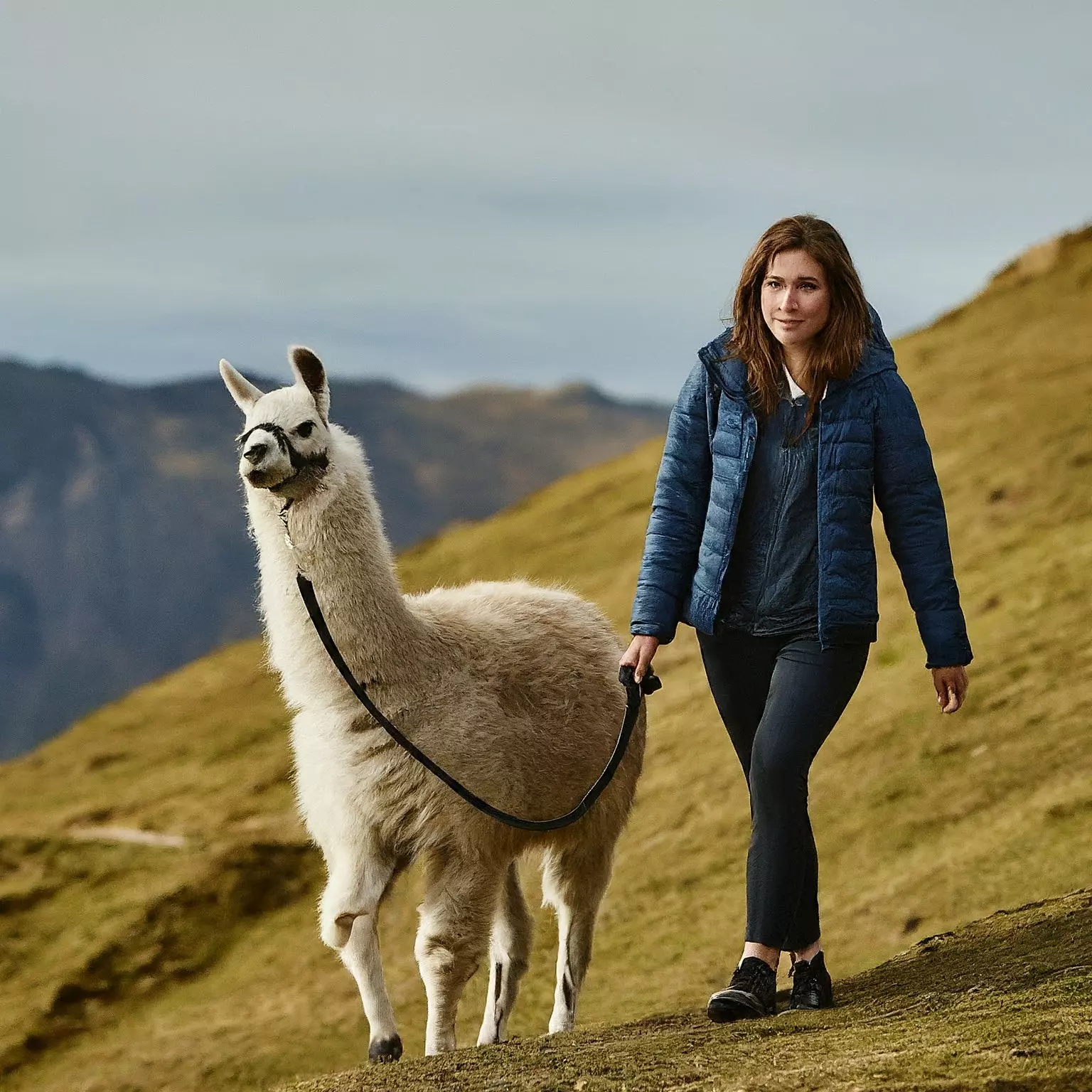 An image of a woman walking a llama on a mountain trail. [U]