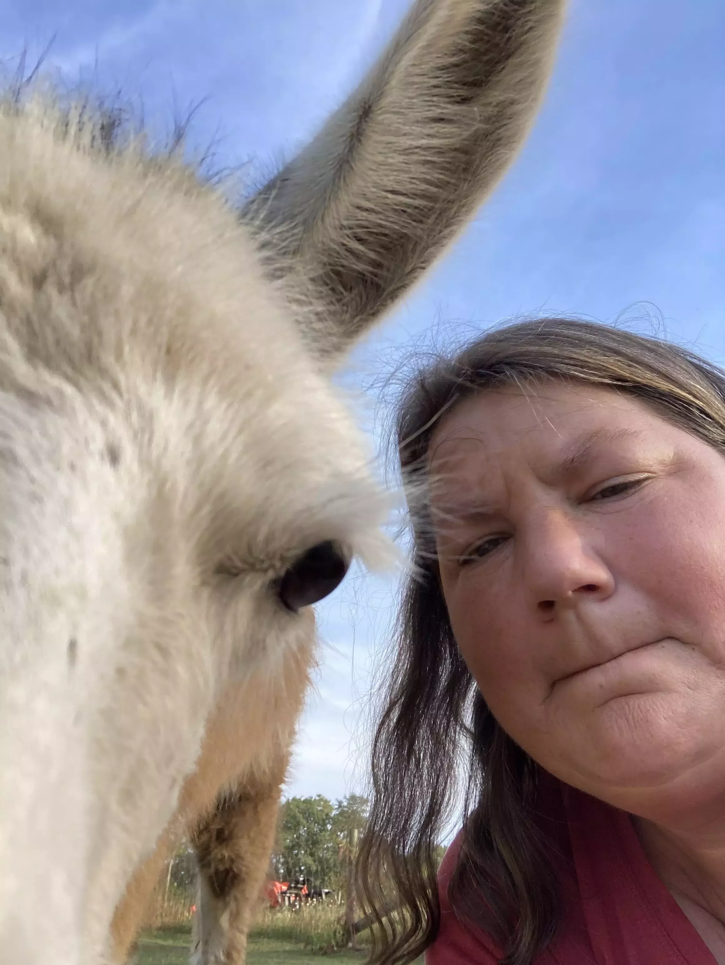 Paige with Lottie, one of her llamas