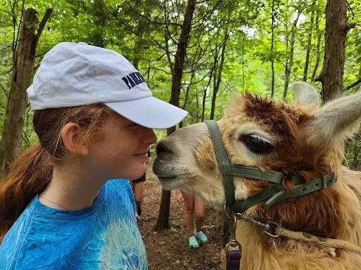 Teriyaki snuggling with his handler on a hike in the woods