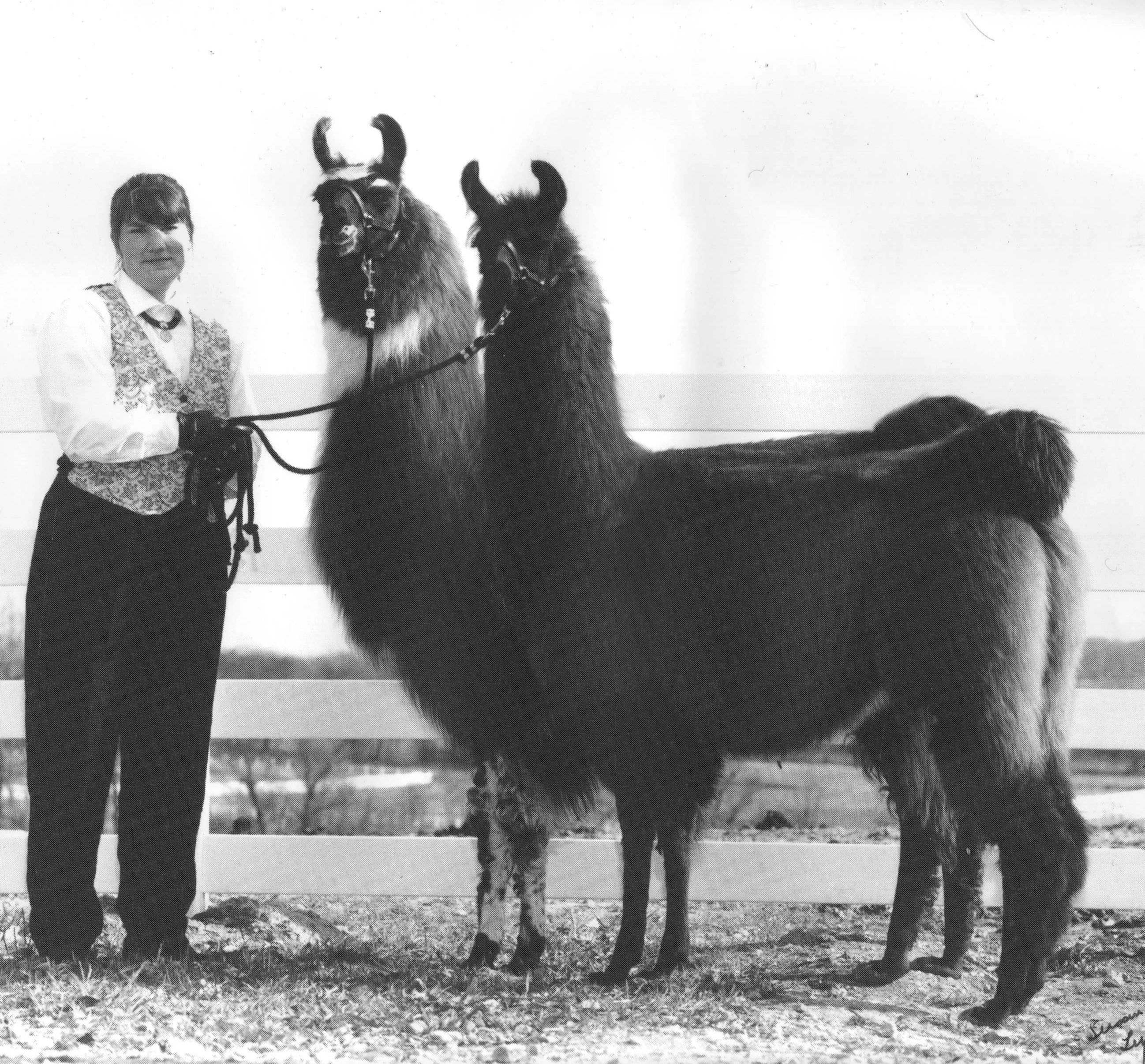 Paige with Feetie Pajama's Product of Dam winners The Spin Doctor and Pajama Party at the 1994 Eastern Regional